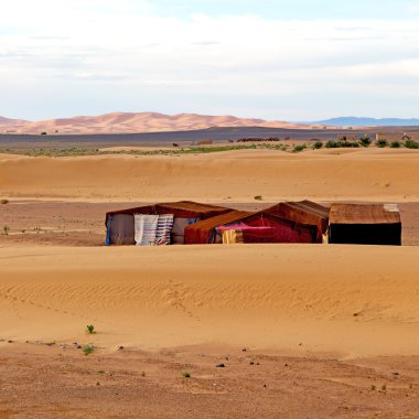 gökyüzünün morocco sahara ve rock taş çöldeki çadırı