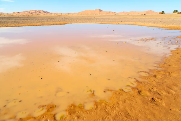 Luz do sol no deserto amarelo areia morocco e duna — Fotografia de Stock