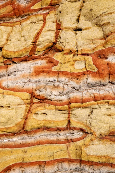 Uma pedra quebrada e líquenes — Fotografia de Stock