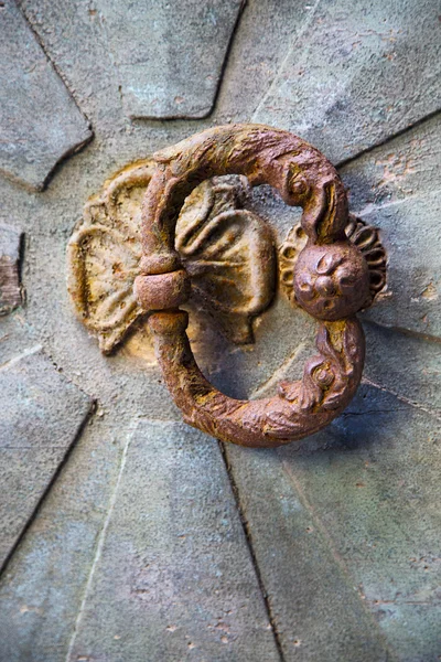 Brass brown knocker and wood   castiglione olona varese italy — Stock Photo, Image