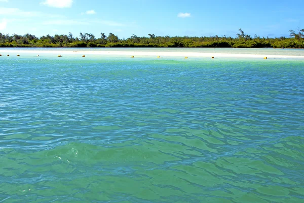 Praia ile du cerfs algas em indiana n areia ilha céu rock — Fotografia de Stock