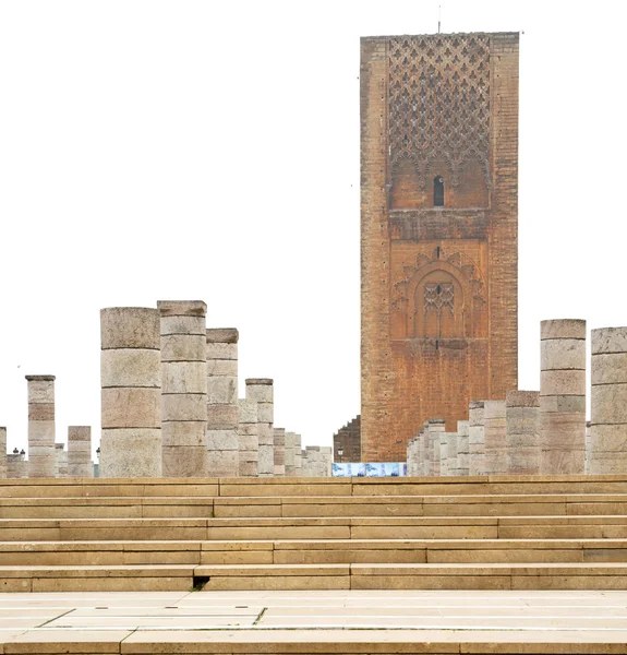 The   chellah  in morocco africa  old roman deteriorated monumen — Stock Photo, Image