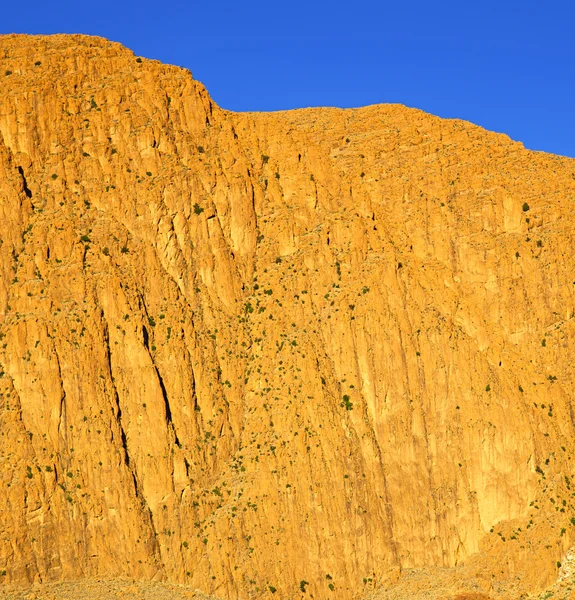 In todra africa marokko der atlas — Stockfoto