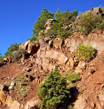 atlas Fas Afrika yere ağaç ve nobo dades vadide