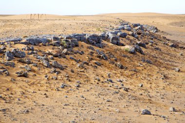  eski fosil morocco Sahara 