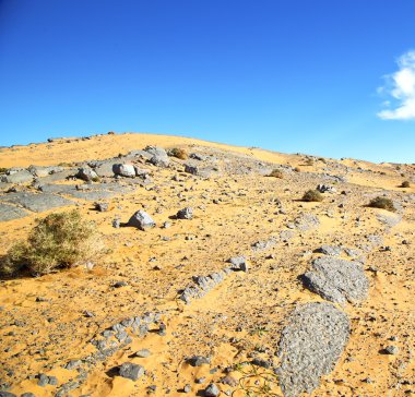  eski fosil morocco sahara ve rock taş gökyüzü çölde