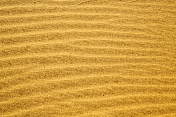 Африка коричневый песчаных дюн в — стоковое фото