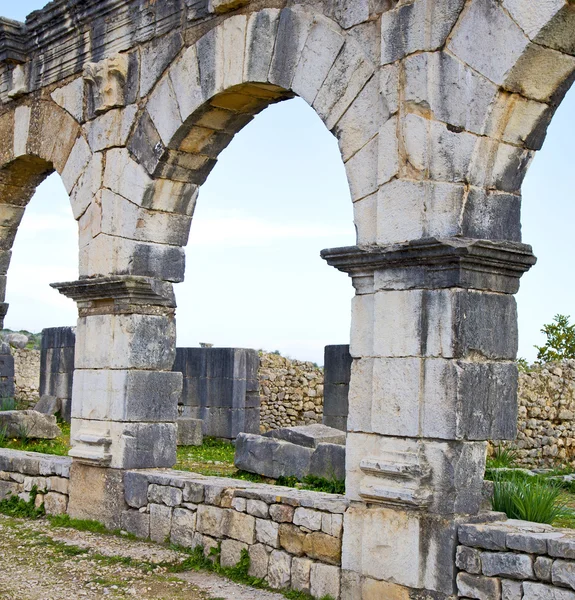 Volubilis in marokko-afrika das altrömische verfallene denkmal — Stockfoto