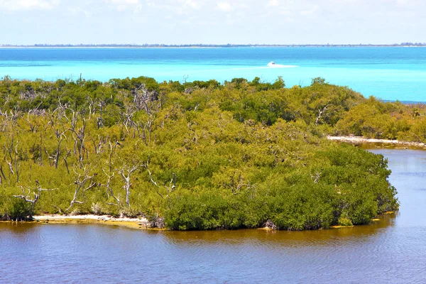 Isla contoy sand in mexiko schaumwelle — Stockfoto