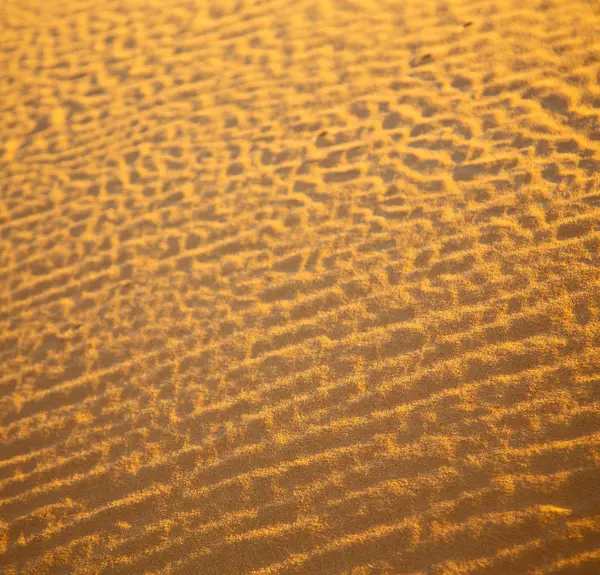 Afrika hnědé písečné duny Sahary Maroko pouštní řádku — Stock fotografie