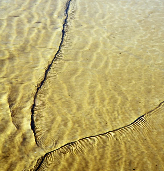摩洛哥非洲棕色海岸线湿沙滩附近大西洋 o — 图库照片