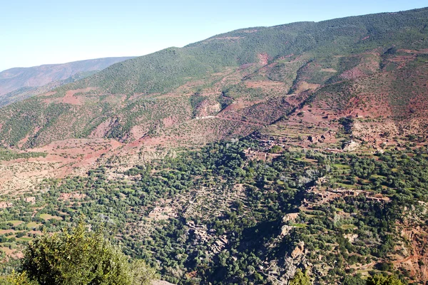 Las dades rojas en atlas moroco africa — Foto de Stock