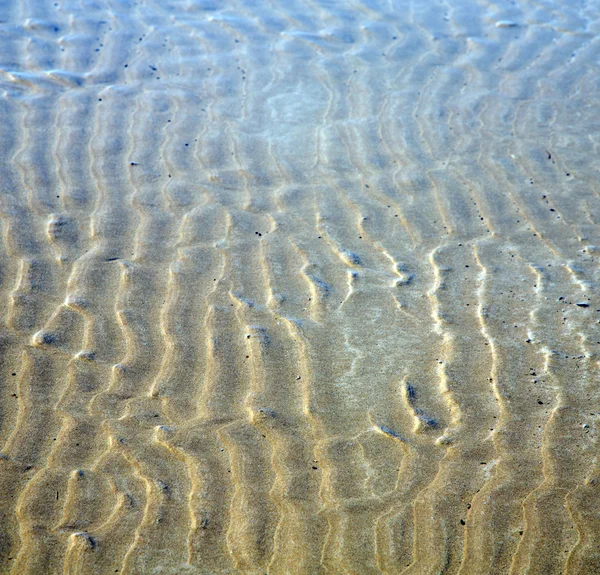 Dune morocco em áfrica costa marrom praia de areia molhada perto de atlan — Fotografia de Stock