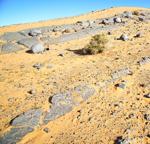 Viejo fósil en el desierto de morocco sahara y roca cielo de piedra — Foto de Stock