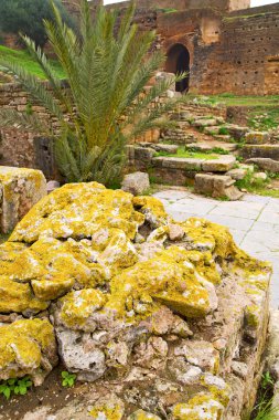 Chellah Fas Afrika ve site