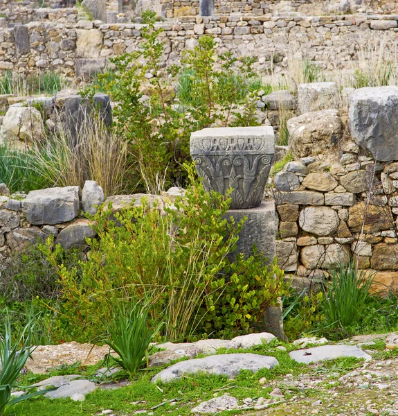 Volubilis Marokkó Afrika a régi római romlott emlékmű — Stock Fotó