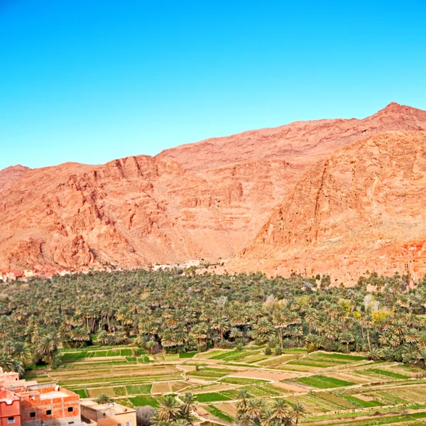 En todra gorge morocco africa y pueblo — Foto de Stock