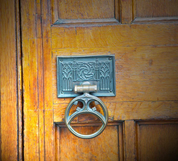 Handle in london antique brown door  rusty  brass nail and light — Stock Photo, Image