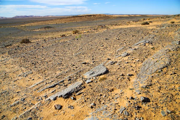 Vieux fossile dans le désert de ciel de pierre — Photo