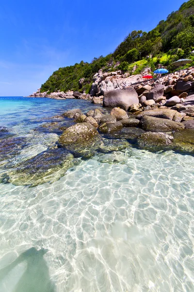 Azië de baai kho tao eiland witte strand parasol — Stockfoto