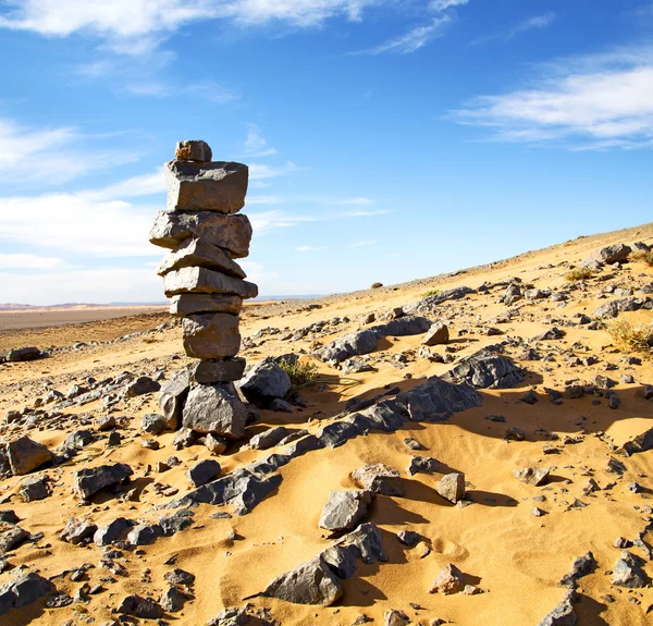 Old fossil in  the desert of morocco sahara and rock  stone sky — Stock Photo, Image