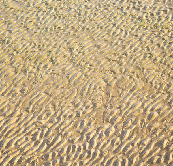 Dune morocco em áfrica costa marrom praia de areia molhada perto de atlan — Fotografia de Stock