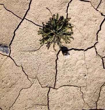 sahara çöl Fas Afrika erozyon ve abstr kahverengi kuru kum