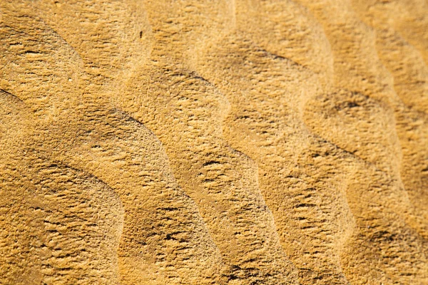 Brown dry sand in sahara desert — Stock Photo, Image