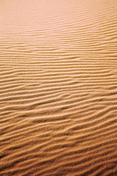 brown sand orange   desert