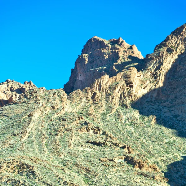 Cespuglio marrone nella valle del Marocco Africa l'atlante secco mo — Foto Stock