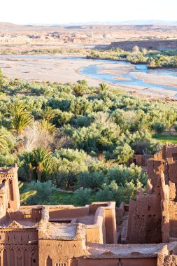   Afrika nehir mavi