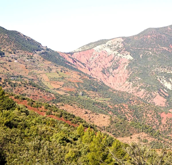 De dades-vallei in atlas moroco Afrika grond boom en nobo — Stockfoto