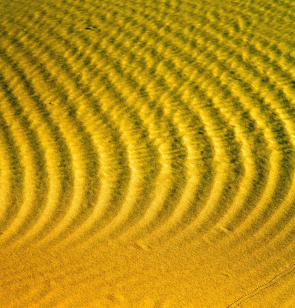 Het bruin Duin van het zand in de sahara Marokko groene — Stockfoto