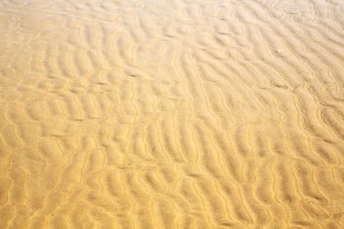 Dune Afrika brown ve okyanus plaj