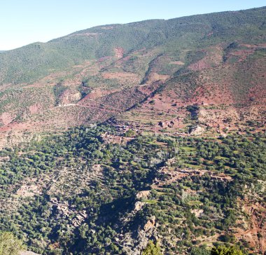 atlas Fas Afrika yere ağaç ve nobo dades vadide