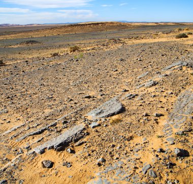  eski fosil morocco sahara ve rock taş gökyüzü çölde