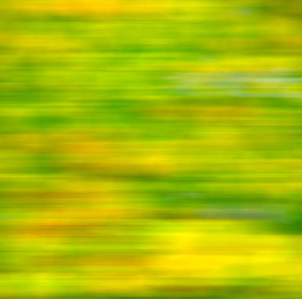 Em Londres amarelo flor campo natureza e primavera — Fotografia de Stock