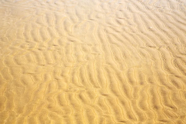 Duna em África marrom e praia perto do oceano — Fotografia de Stock
