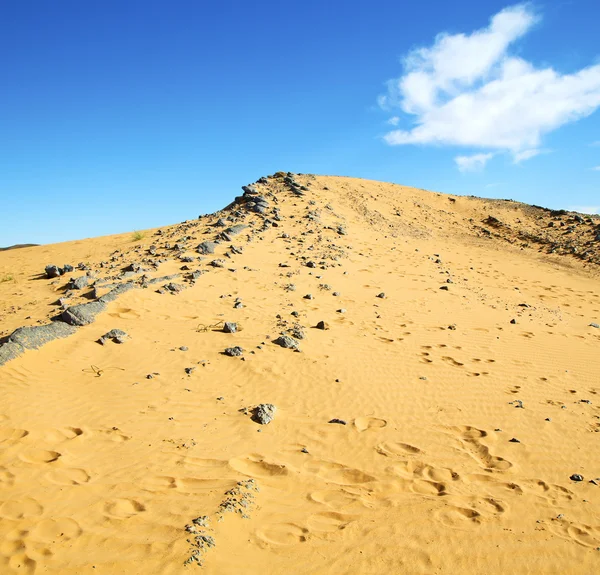 Viejo fósil en el desierto de morocco sahara y roca cielo de piedra —  Fotos de Stock