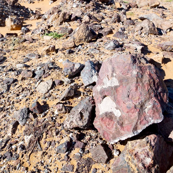 Viejo fósil de montaña en el desierto de morocco sahara y roca s —  Fotos de Stock