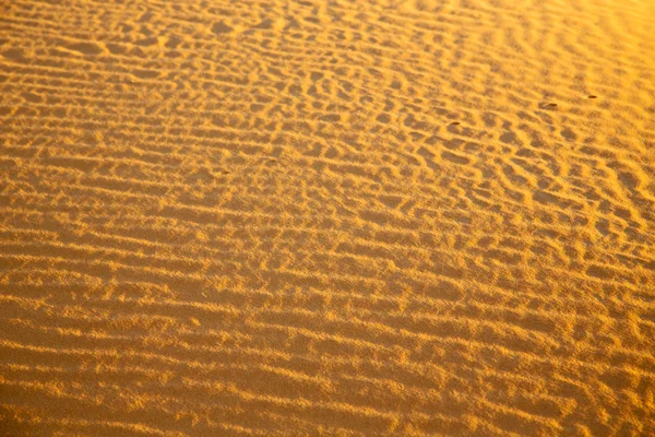 Africa the brown sand dune in     morocco desert line — Stok Foto