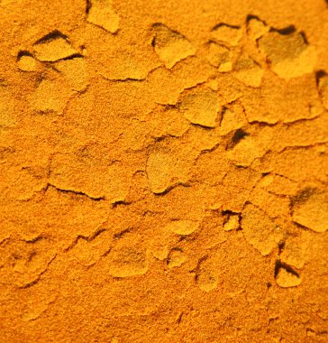 Sahara Fas çölündeki kahverengi kum tepeciği. 