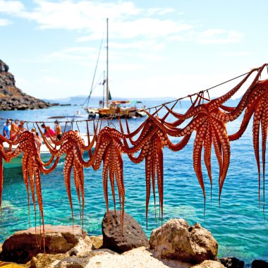Güneş Avrupa'da kurutma ahtapot Yunanistan santorini ve ışık