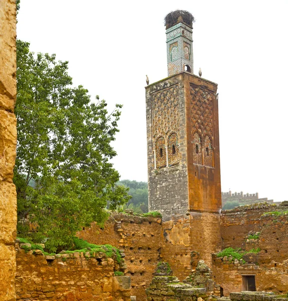 Chellah en Marruecos África el viejo monumento romano deteriorado a —  Fotos de Stock