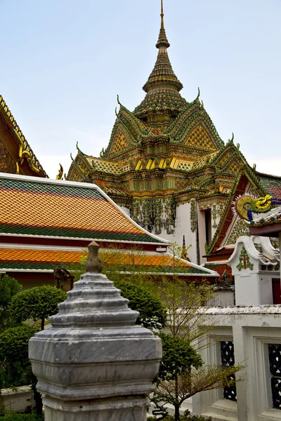 Ásia tailândia em bangkok árvore de chuva — Fotografia de Stock