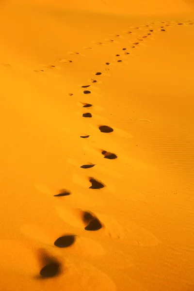 Il deserto di sabbia marrone del sahara marocco — Foto Stock