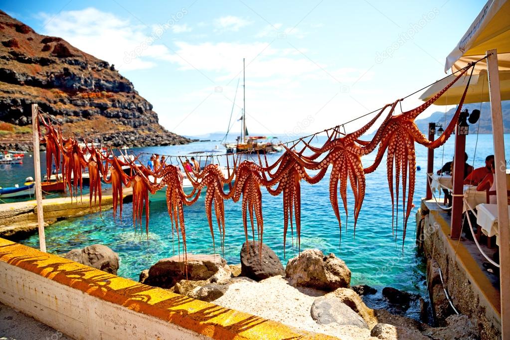 octopus   drying  in   greece santorini and light