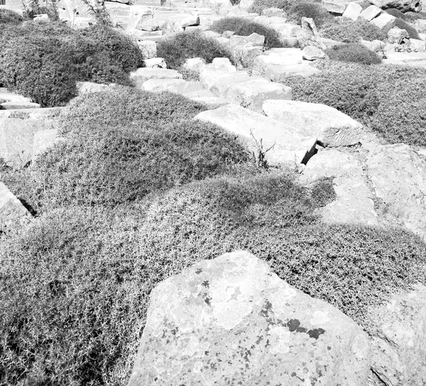 Mer à delos Grèce l'acropole historique et vieux site de ruine — Photo