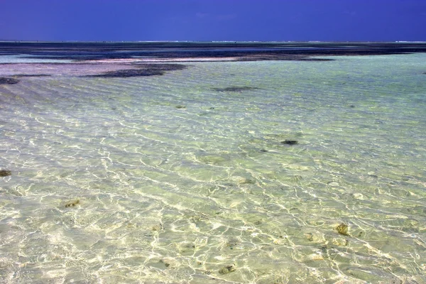 Afrikai partvidék bevezetésekor hab a relax zanzibar — Stock Fotó