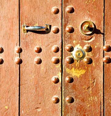 a nő kezében kék és fehér virágok csokor 